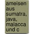 Ameisen Aus Sumatra, Java, Malacca Und C
