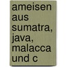 Ameisen Aus Sumatra, Java, Malacca Und C door August Forel
