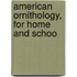 American Ornithology, For Home And Schoo