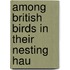 Among British Birds In Their Nesting Hau