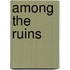 Among The Ruins