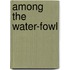 Among The Water-Fowl