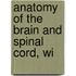 Anatomy Of The Brain And Spinal Cord, Wi