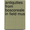 Antiquities From Boscoreale In Field Mus by Herbert F. De Cou