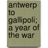 Antwerp To Gallipoli; A Year Of The War