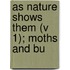 As Nature Shows Them (V 1); Moths And Bu