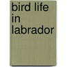 Bird Life In Labrador door Winfrid Alden Stearns