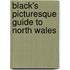 Black's Picturesque Guide To North Wales