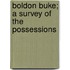 Boldon Buke; A Survey Of The Possessions