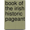 Book Of The Irish Historic Pageant door Anne Abbot Throop Craig