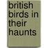 British Birds In Their Haunts