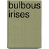 Bulbous Irises
