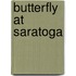 Butterfly At Saratoga