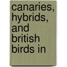 Canaries, Hybrids, And British Birds In door John Robson