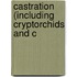 Castration (Including Cryptorchids And C