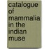Catalogue Of Mammalia In The Indian Muse