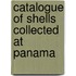 Catalogue Of Shells Collected At Panama