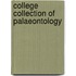 College Collection Of Palaeontology