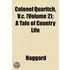 Colonel Quaritch, V.C. (Volume 2); A Tal