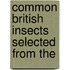 Common British Insects Selected From The