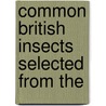 Common British Insects Selected From The door Ellen Wood