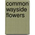 Common Wayside Flowers