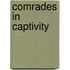 Comrades In Captivity