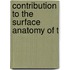 Contribution To The Surface Anatomy Of T
