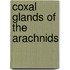 Coxal Glands Of The Arachnids