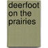 Deerfoot On The Prairies