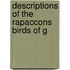 Descriptions Of The Rapaccons Birds Of G