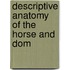Descriptive Anatomy Of The Horse And Dom