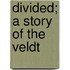 Divided; A Story Of The Veldt