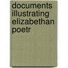 Documents Illustrating Elizabethan Poetr door Laurie Magnus