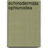 Echinodermata Ophiuroidea
