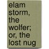 Elam Storm, The Wolfer; Or, The Lost Nug