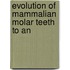 Evolution Of Mammalian Molar Teeth To An