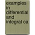 Examples In Differential And Integral Ca