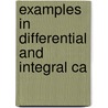 Examples In Differential And Integral Ca door Ellen Jackson