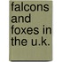 Falcons And Foxes In The U.K.