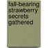 Fall-Bearing Strawberry Secrets Gathered