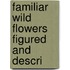 Familiar Wild Flowers Figured And Descri