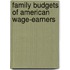 Family Budgets Of American Wage-Earners
