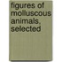 Figures Of Molluscous Animals, Selected
