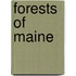 Forests Of Maine