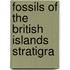 Fossils Of The British Islands Stratigra