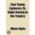 Four Young Explorers, Or, Sight-Seeing I