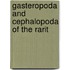 Gasteropoda And Cephalopoda Of The Rarit