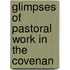 Glimpses Of Pastoral Work In The Covenan