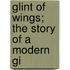 Glint Of Wings; The Story Of A Modern Gi